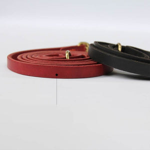 Unleash Style and Comfort with Our Cowhide Chain Elastic Competition Band for Pets