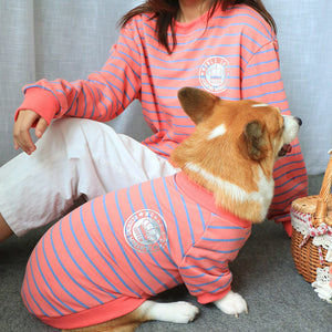 The Perfect Family Outing: Matching Pet Sweaters for You and Your Furry Friend