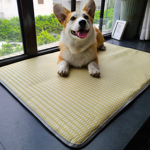 The Ultimate Summer Anti-Bite Non-Slip Pet Sleeping Mat