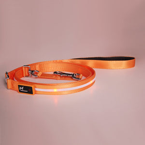 Illuminate Your Walks with the Creative LED USB Charging Luminous Pet Leash