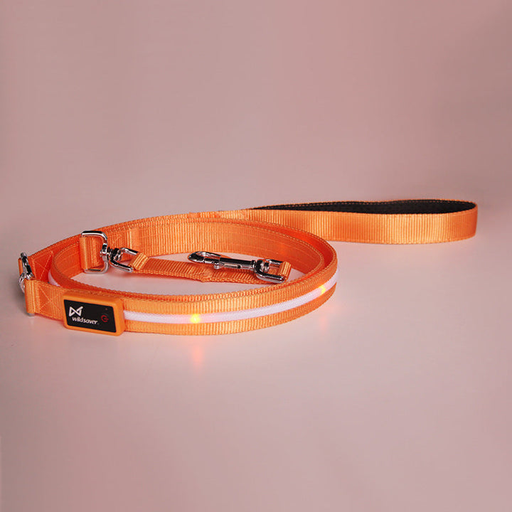 Illuminate Your Walks with the Creative LED USB Charging Luminous Pet Leash