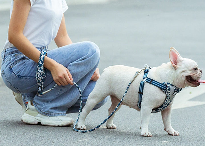 The Perfect Companion for Adventurous Pets: Outdoor Floral Round Handheld Rope Pet Leash