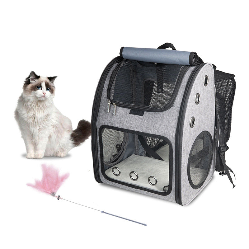 Discover the Ultimate Adventure Companion for Your Pet