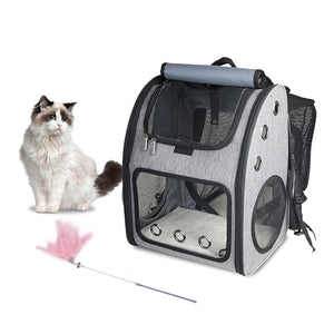Discover the Ultimate Adventure Companion for Your Pet