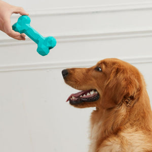 Rubber Bone Pet Toy For Teeth Grinding And Chewing