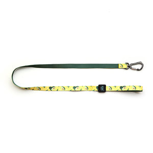 Discover the Perfect Companion for Your Pet: The Ribbon Printed Pet Traction Rope