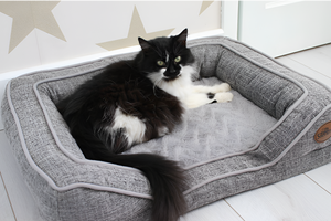 Choosing the Perfect Bed for Your Pet