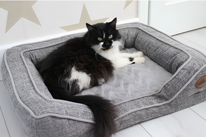 Choosing the Perfect Bed for Your Pet
