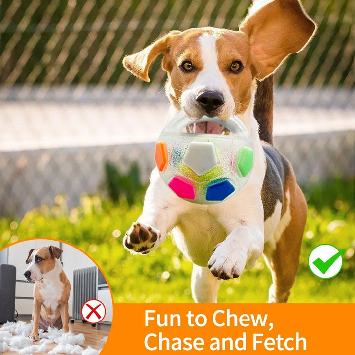 Durable Squeaky Pet Ball Toy For Outdoor Training Play