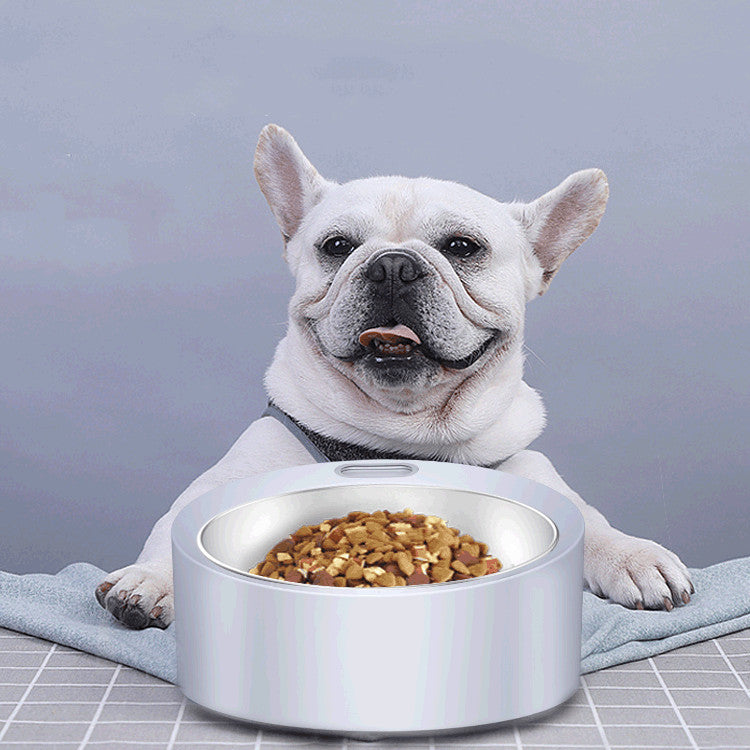 Large Capacity Stainless Steel Pet Food Bowl with Scale