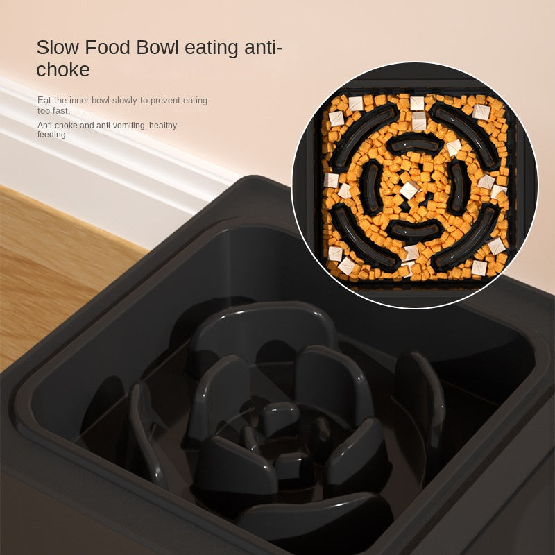Adjustable Elevated Double Stainless Steel Pet Bowl Stand