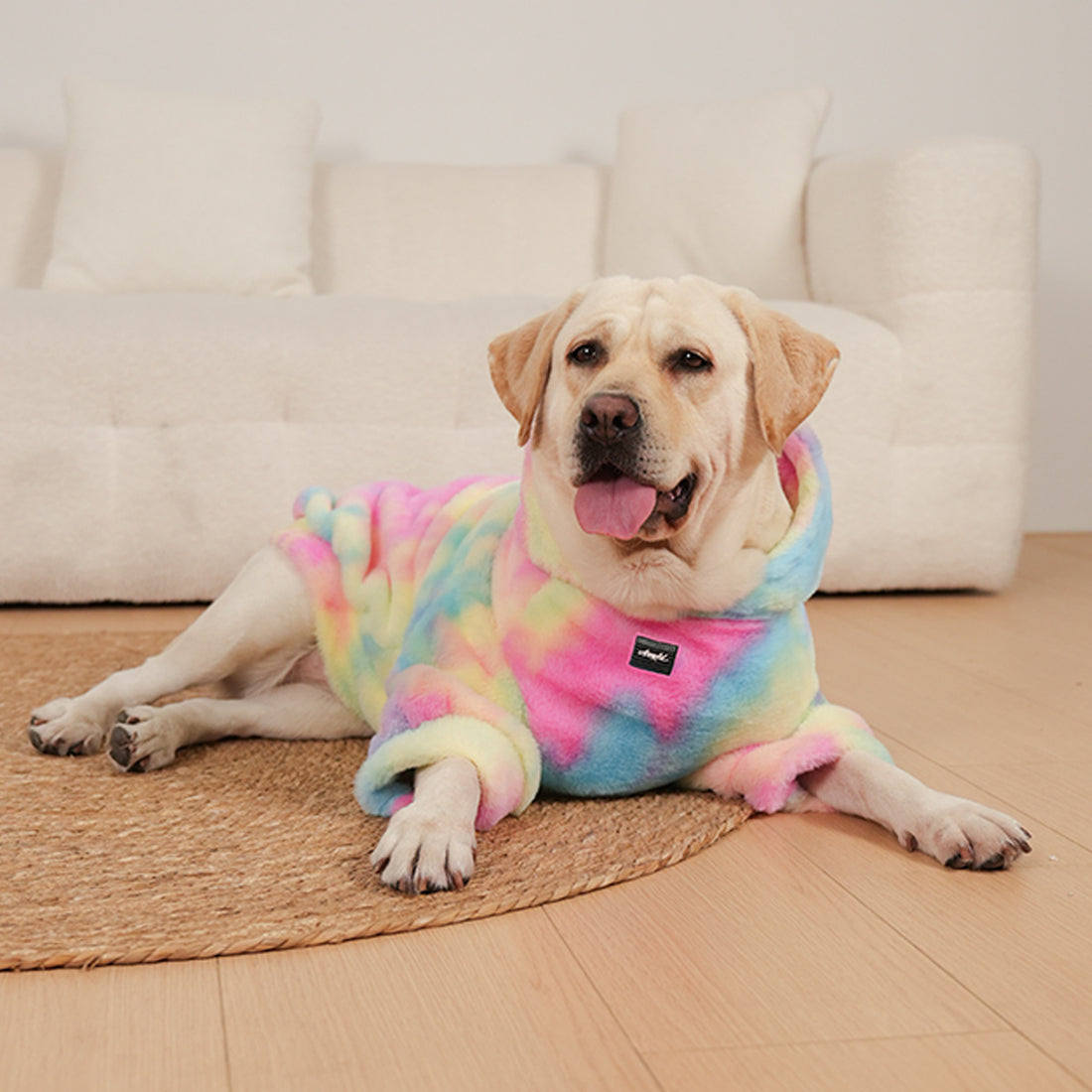 Tie Dyed Rainbow Pattern Pet Sweater Soft Warm Design