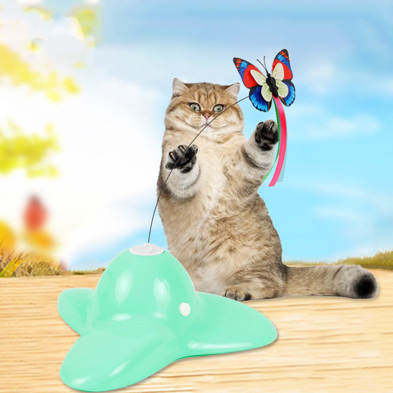 Educational Pet Toys
