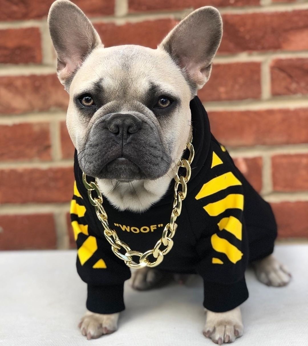 Three Stripe Fashion Pet Sweater Autumn Winter Sportswear