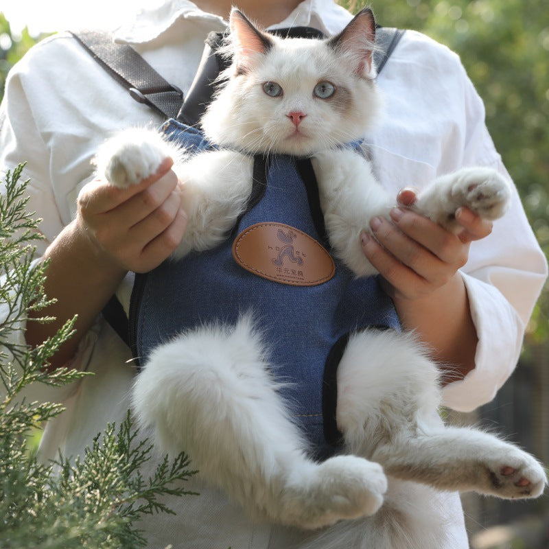 Portable Spring Outing Pet Backpack Travel Carrier