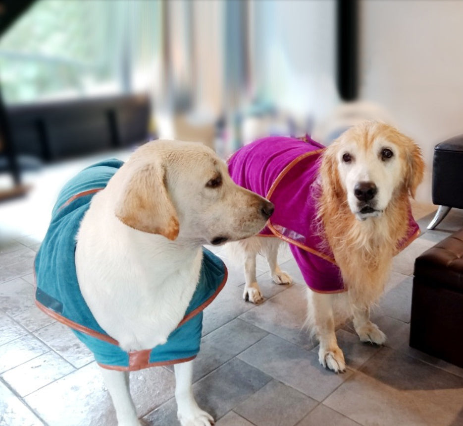 Quick Dry Pet Bath Towel Absorbent Soft Drying Cloth