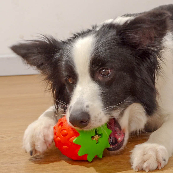 Teeth Cleaning Pet Toy Ball For Chewing And Dental Care