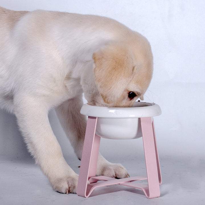 Creative Non-Slip 2-in-1 Pet Food and Water Bowl with Stand