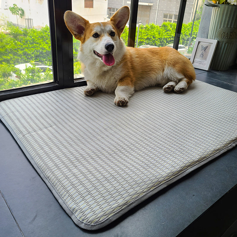 Summer Anti-Bite Non-Slip Pet Sleeping Mat