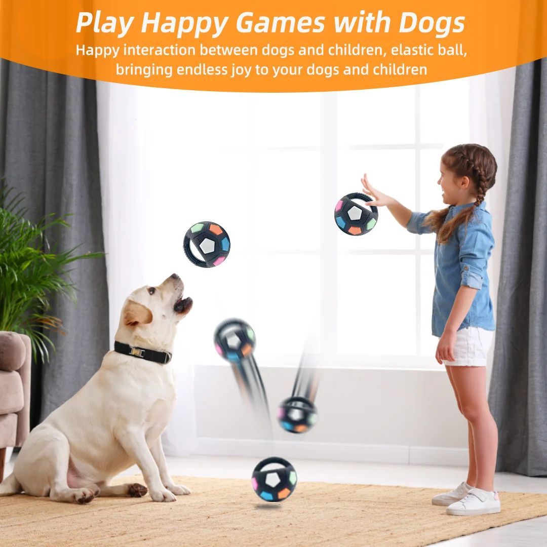 Durable Squeaky Pet Ball Toy For Outdoor Training Play
