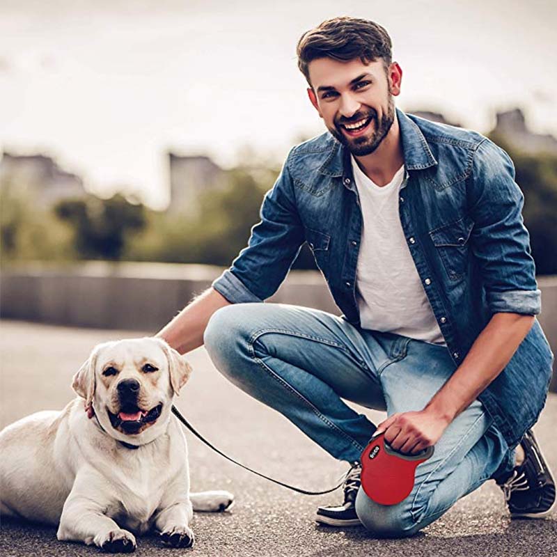 Automatic Retractable Pet Leash Reflective Walking Rope