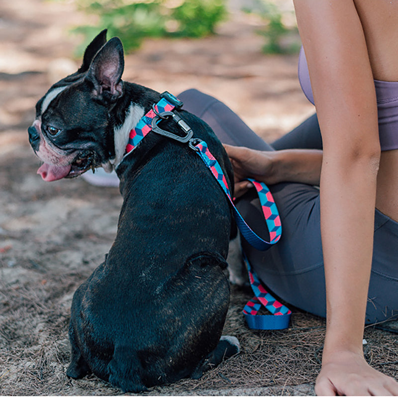 Ribbon Printed Pet Traction Rope