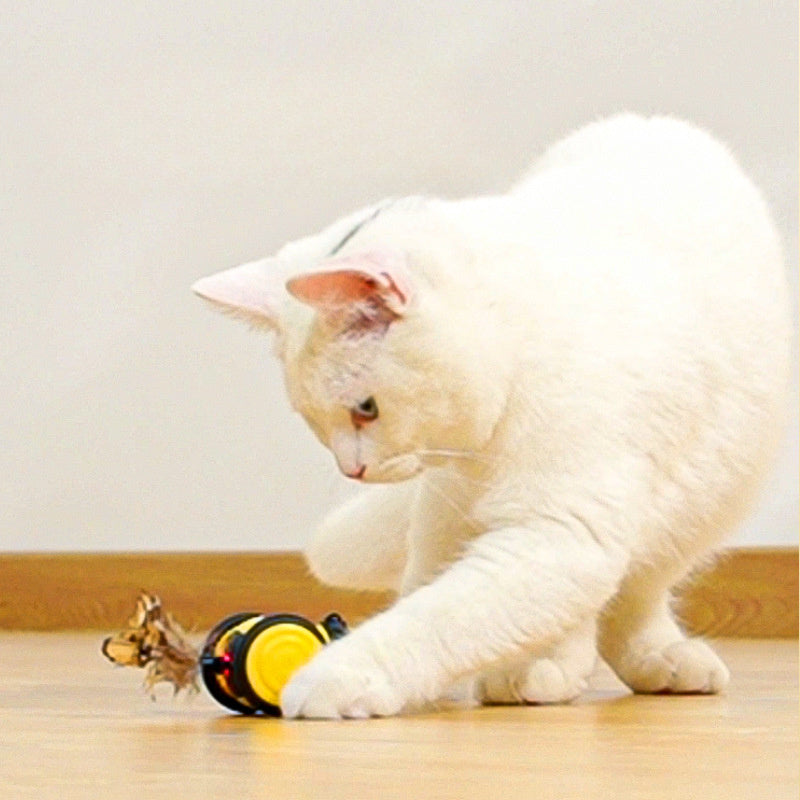 Electric Interactive Pet Toy With Random Moving Feather Teaser