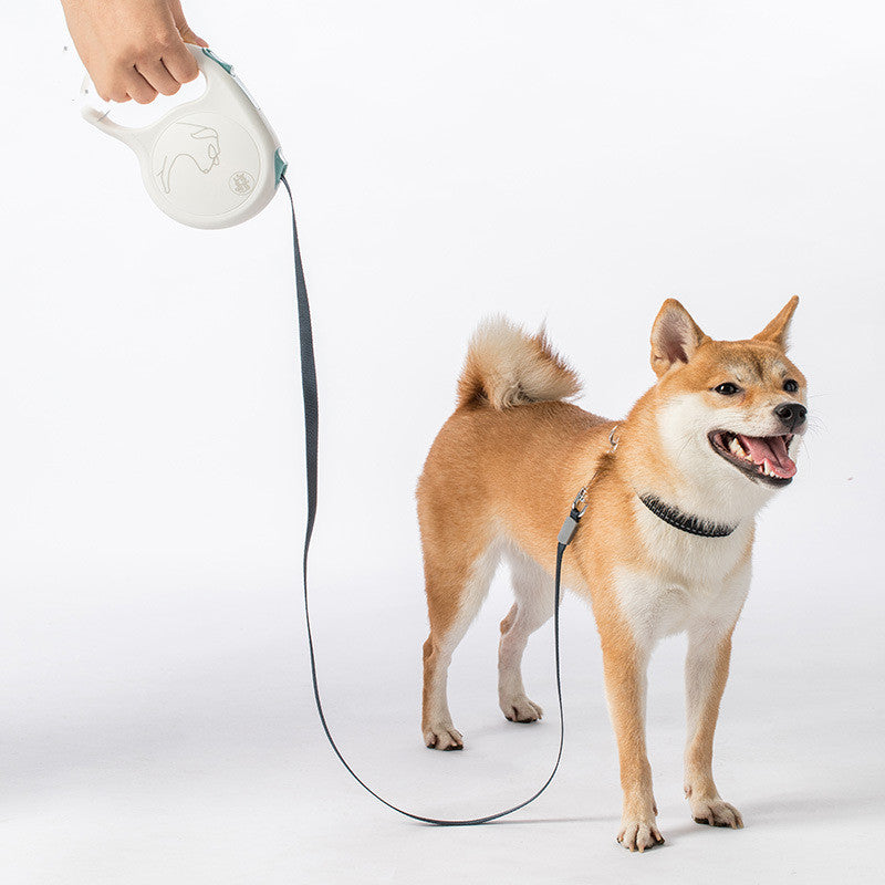 Retractable Pet Leash For Small Medium Large Pets