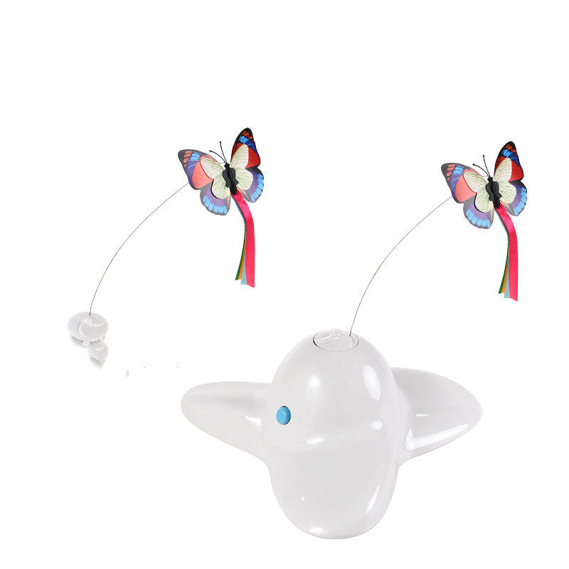 Educational Pet Toys