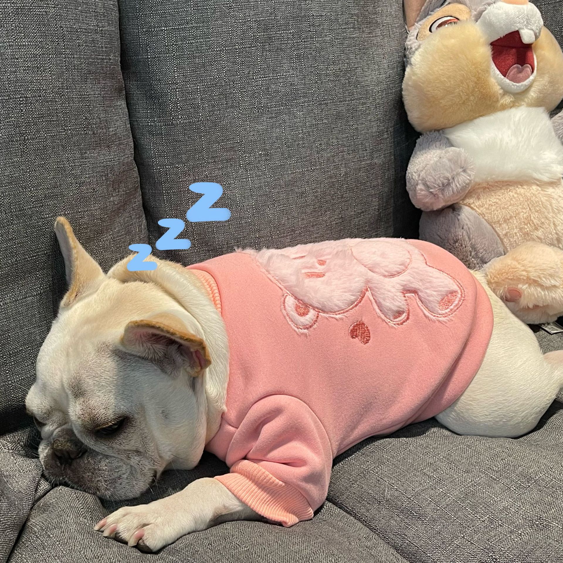 Plush Princess Style Pet Sweater Soft Warm Clothing