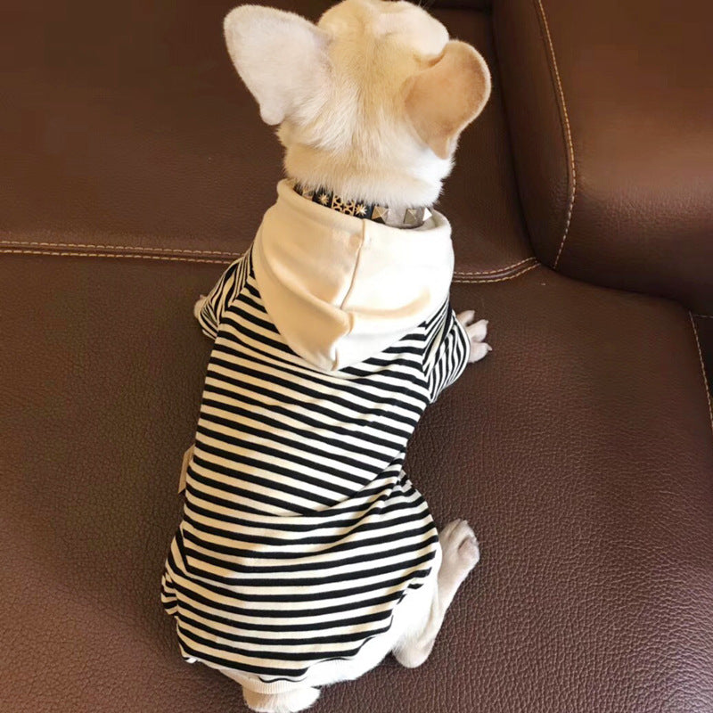 Terry Fabric Pet Sweater Small Size Fashion Clothing