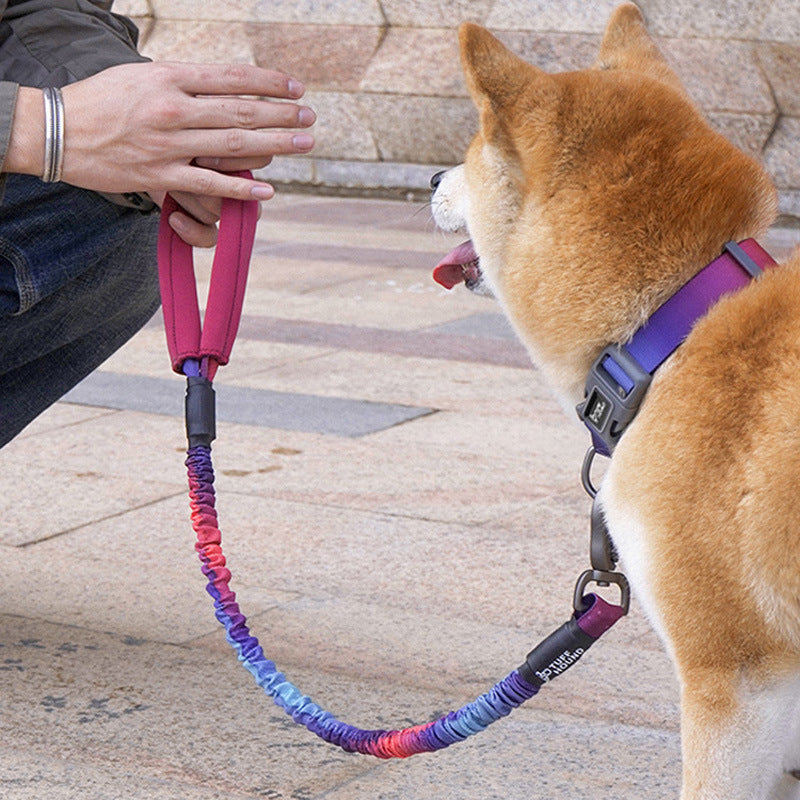 Medium Pet Walking Rope Durable Comfortable Design