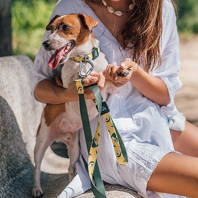 Ribbon Printed Pet Traction Rope