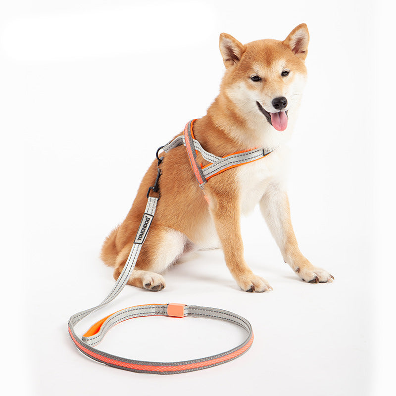 LED Pet Leash Safety Reflective Walking Rope