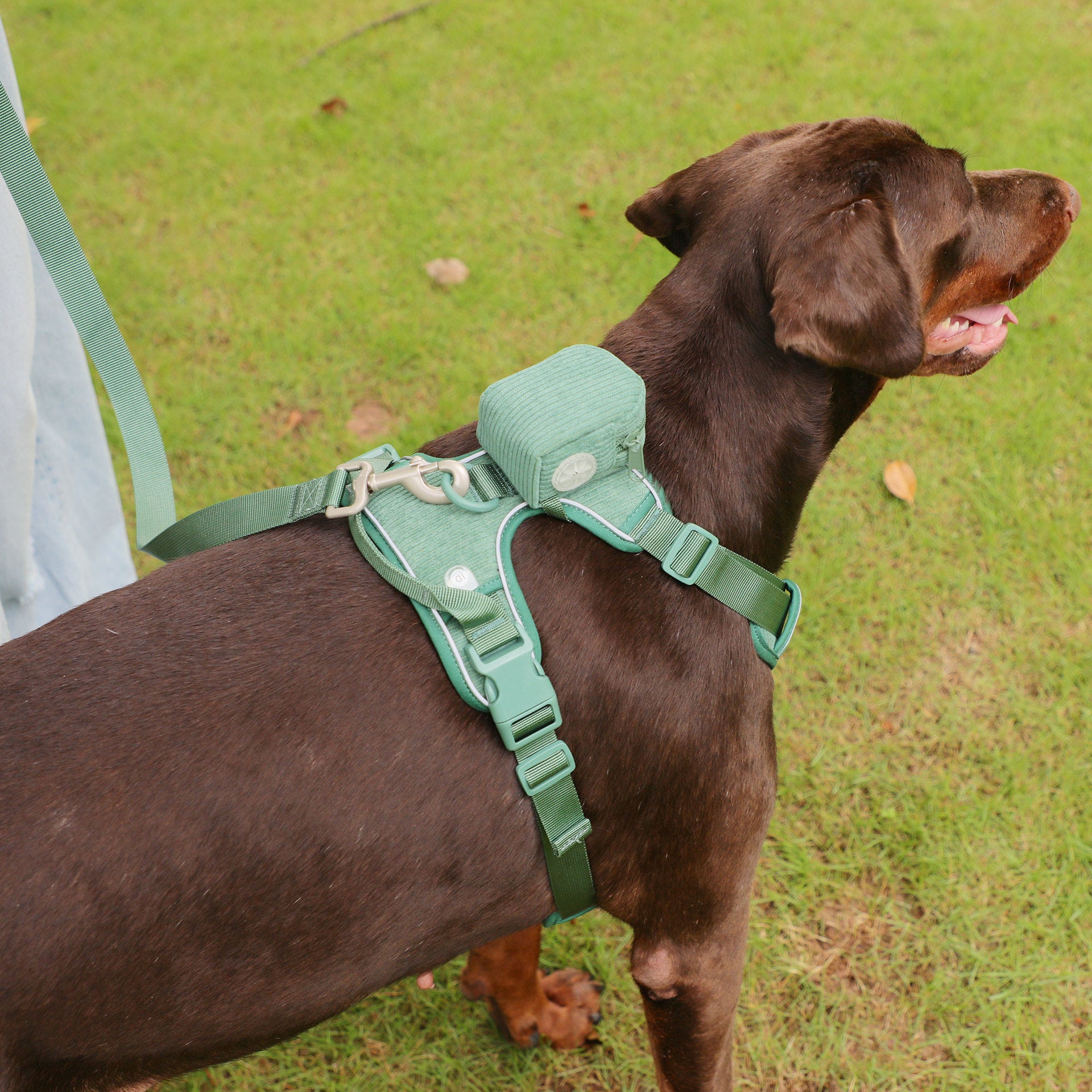 Chest And Back Pet Backpack Walking Bag