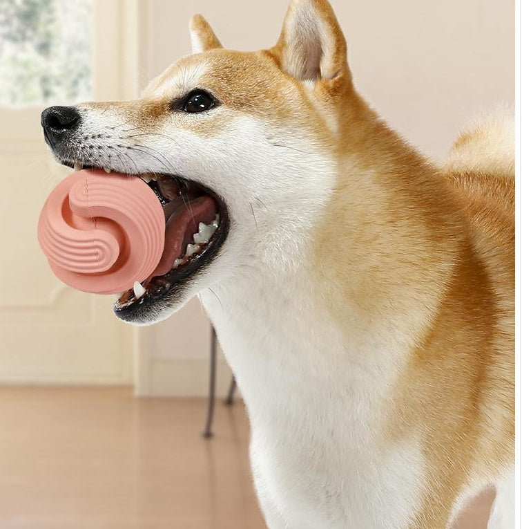 Rubber Pet Chew Ball for Teeth Relief