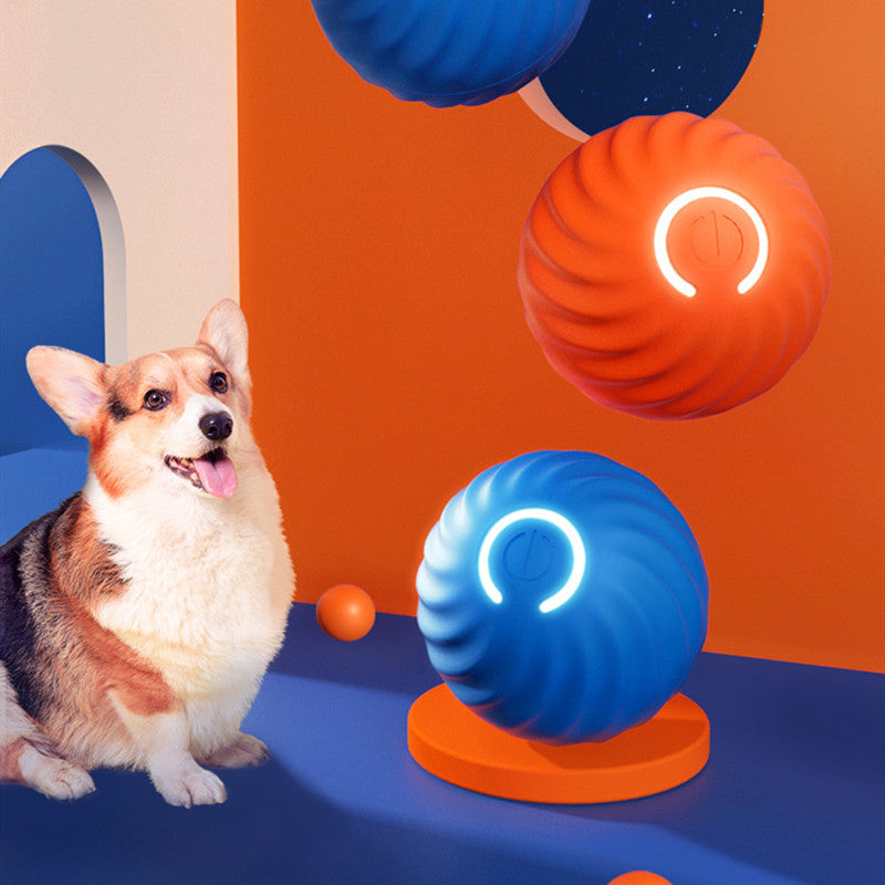 Rubber Bite Resistant Pet Ball Toy For Training