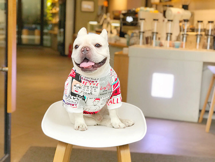 Warm Comfortable Pet Sweater Coat Stylish Everyday Wear