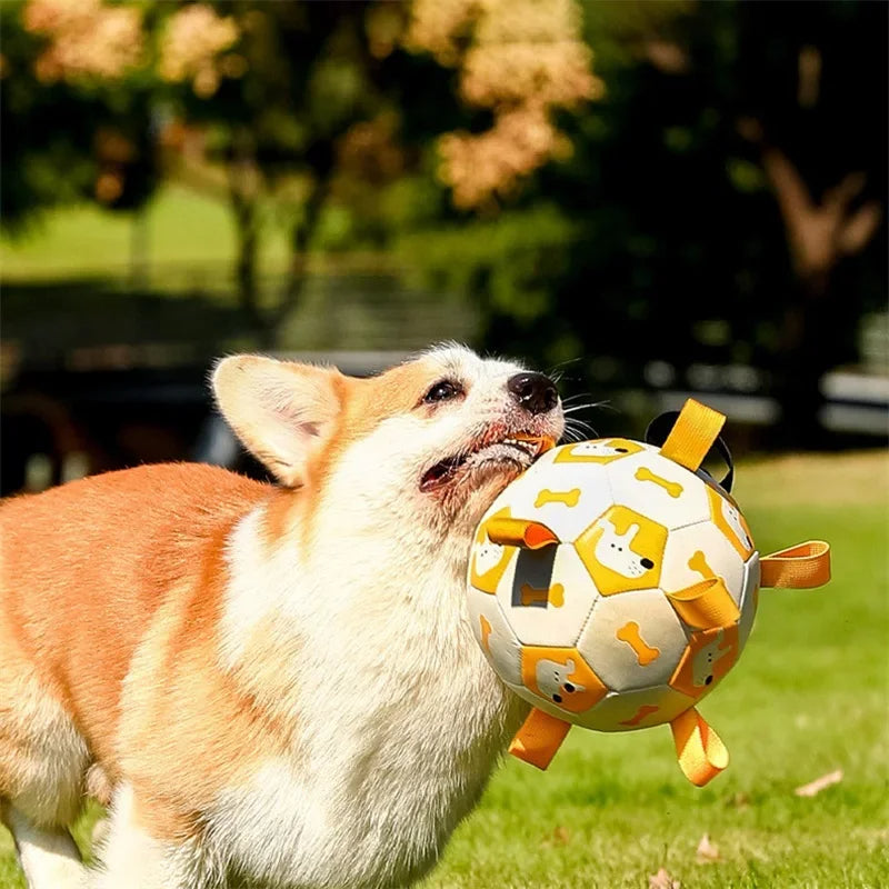 Interactive Football Pet Toy For Outdoor Training And Play