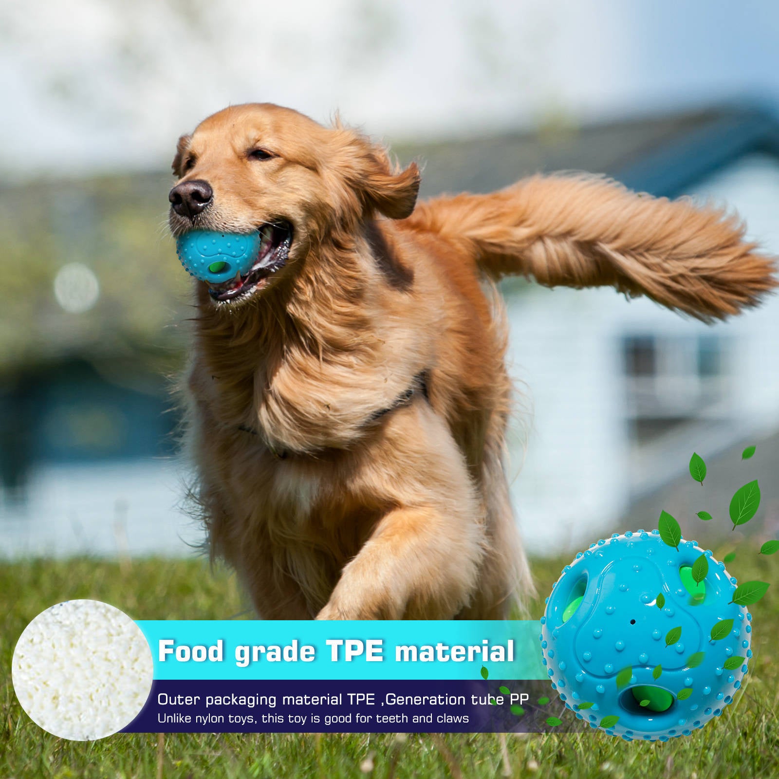 Squeaky Pet Ball Toy For Interactive Play Relief