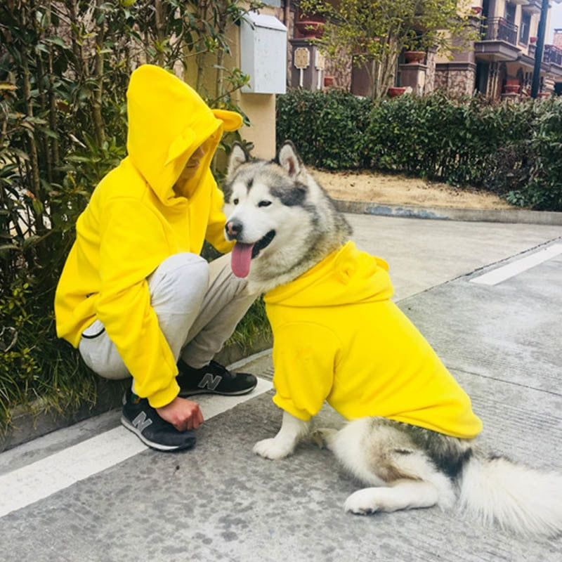Four Season Pet Sweater Comfortable Everyday Wear
