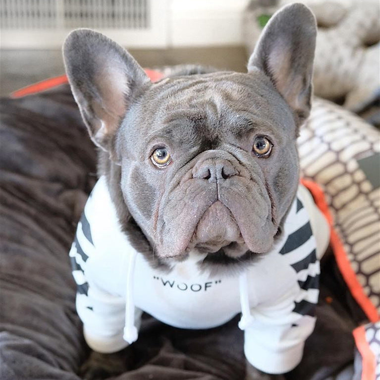 Three Stripe Fashion Pet Sweater Autumn Winter Sportswear