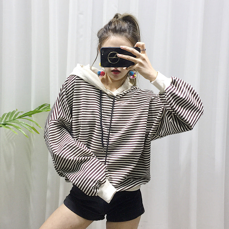 Terry Fabric Pet Sweater Small Size Fashion Clothing
