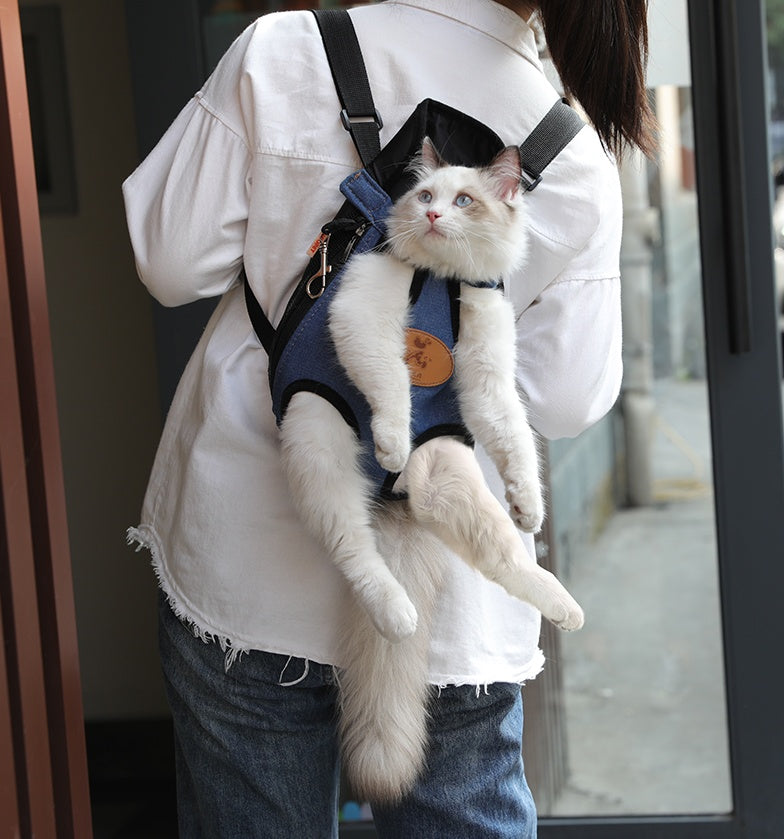 Portable Spring Outing Pet Backpack Travel Carrier