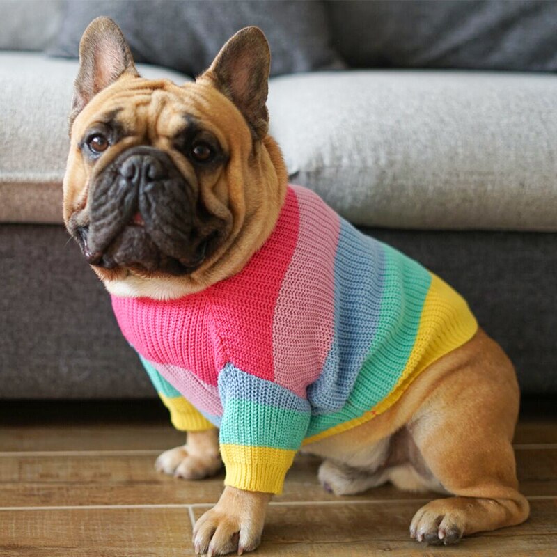 Rainbow Pet Sweater Colorful Soft Comfortable Design