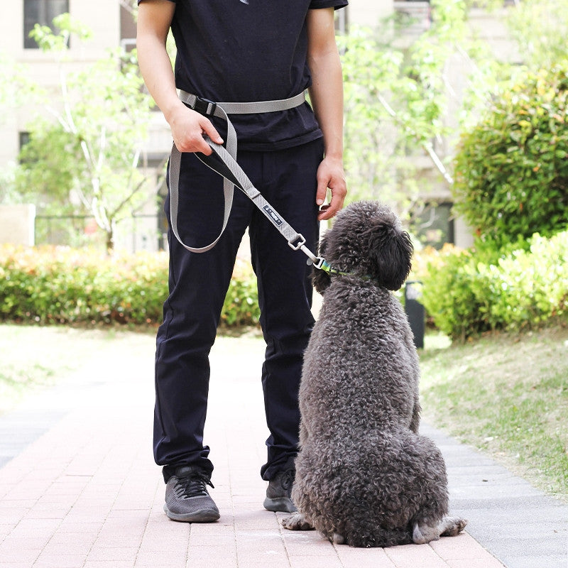Multi Functional Traction Running Pet Leash
