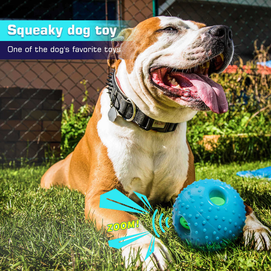 Squeaky Pet Ball Toy For Interactive Play Relief