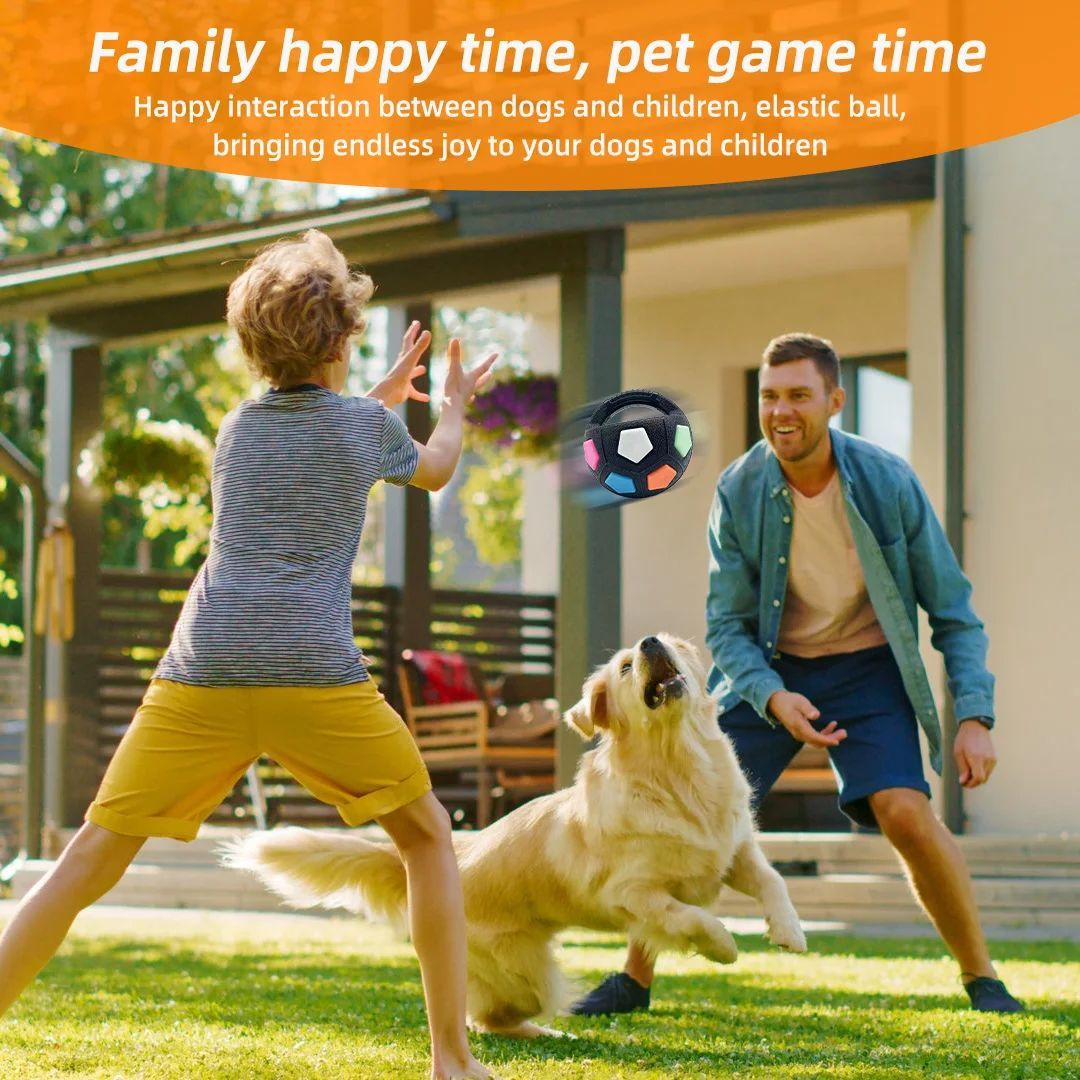 Durable Squeaky Pet Ball Toy For Outdoor Training Play
