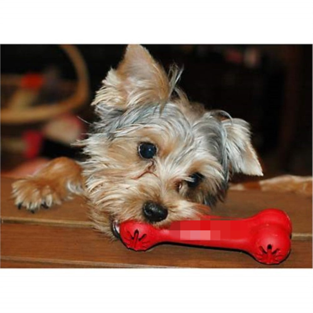 Bite Resistant Rubber Pet Toy For Teeth Grinding