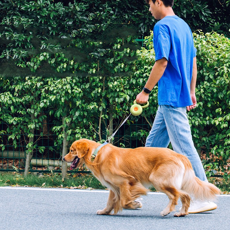 Retractable Reflective Rope Pet Leash